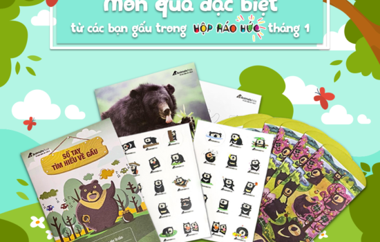 Mon_qua_dac_biet_tu_cac_ban_gau_trong_hop_hao_huc_thang_1_550x350.png