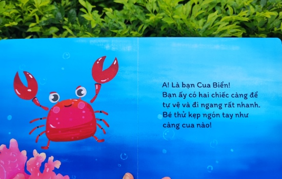 1746588377019_550x350.jpg