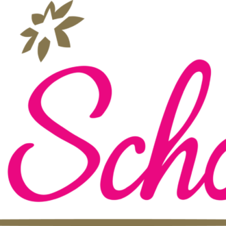 THSchool_330x330.png