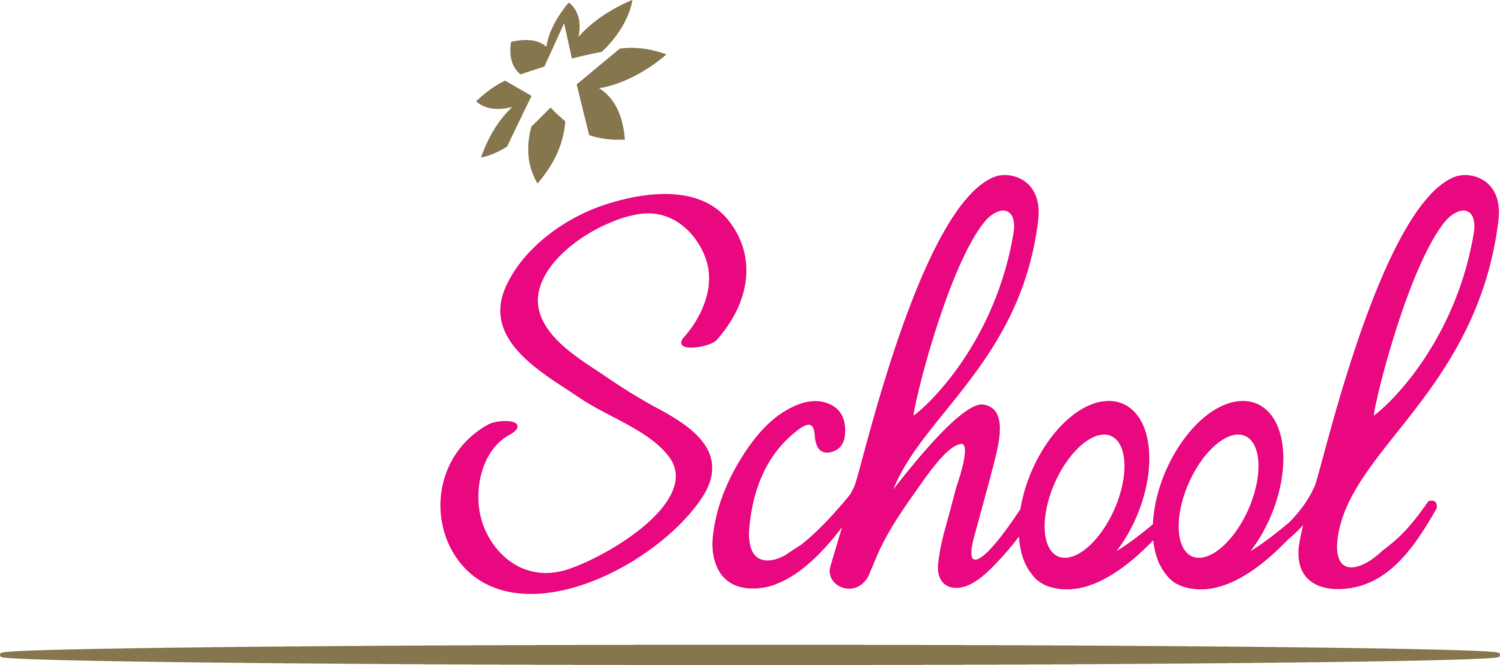 THSchool_68_800x800.png