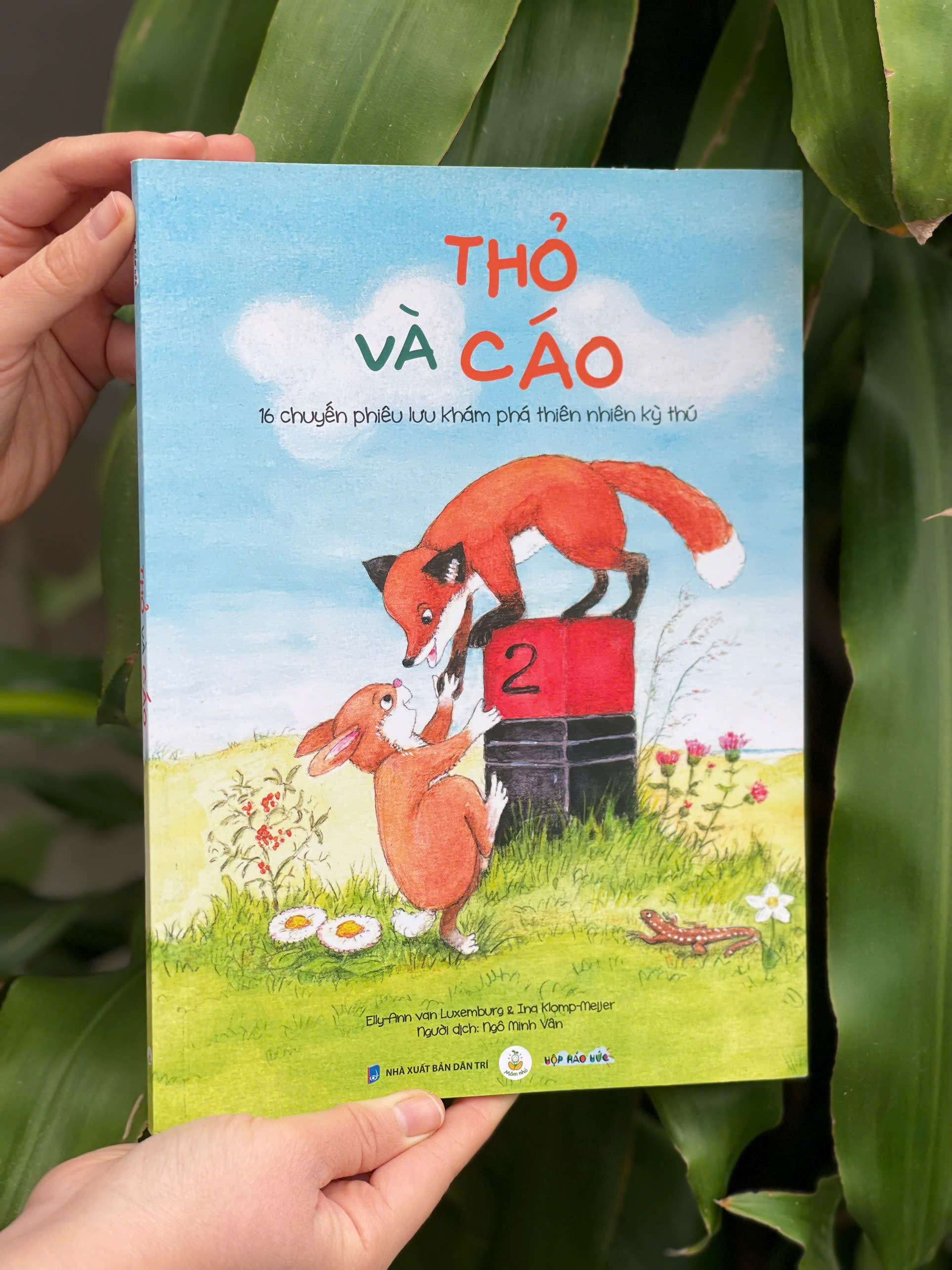 Sách Thỏ và Cáo