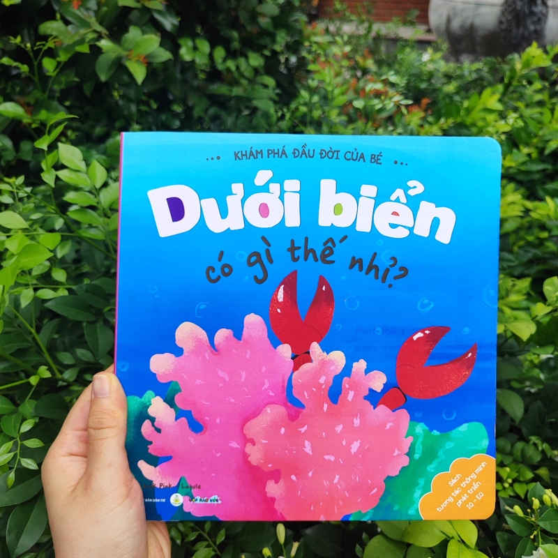 Hộp Háo Hức Hăng Say Khám Phá 0-3 tuổi
